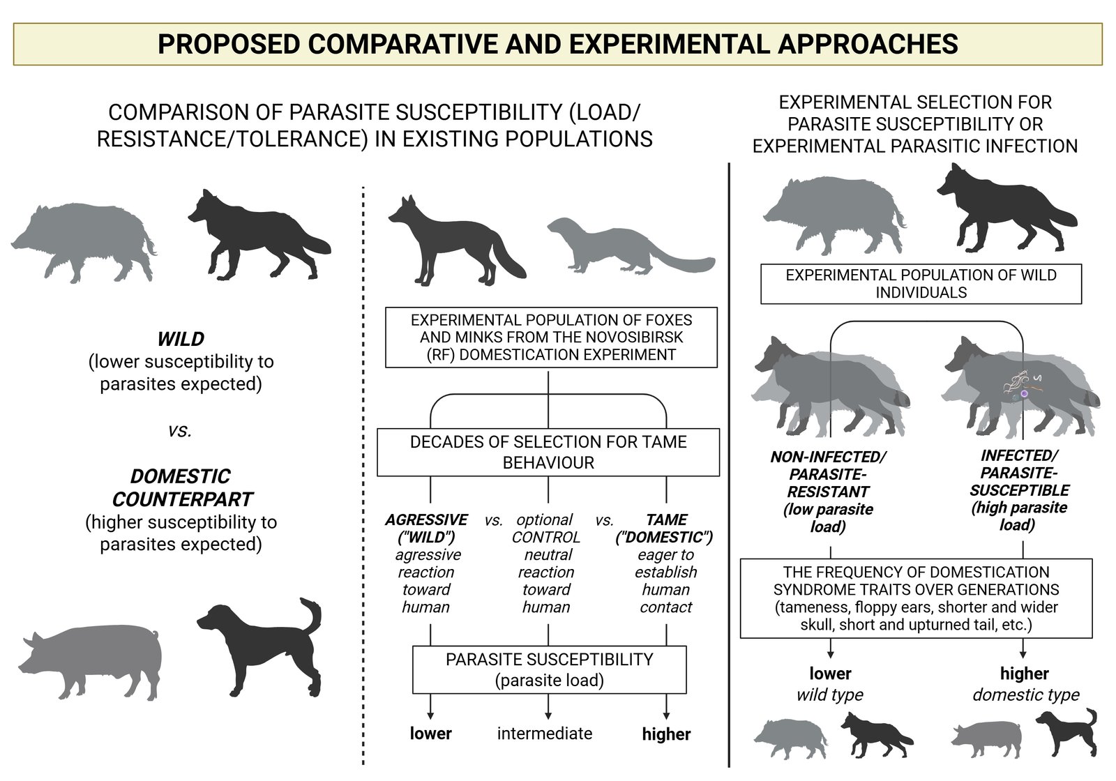 Proposed comparative and experimental approaches to test the parasite-mediated domestication hypothesis (PMD) with the expected outcomes.