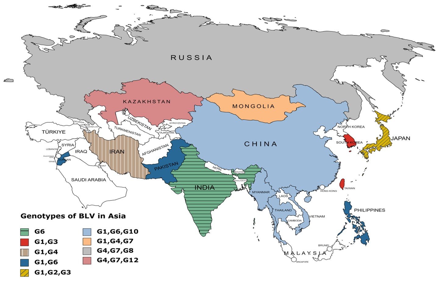 Mapping of BLV Genotype Distribution Across Asia