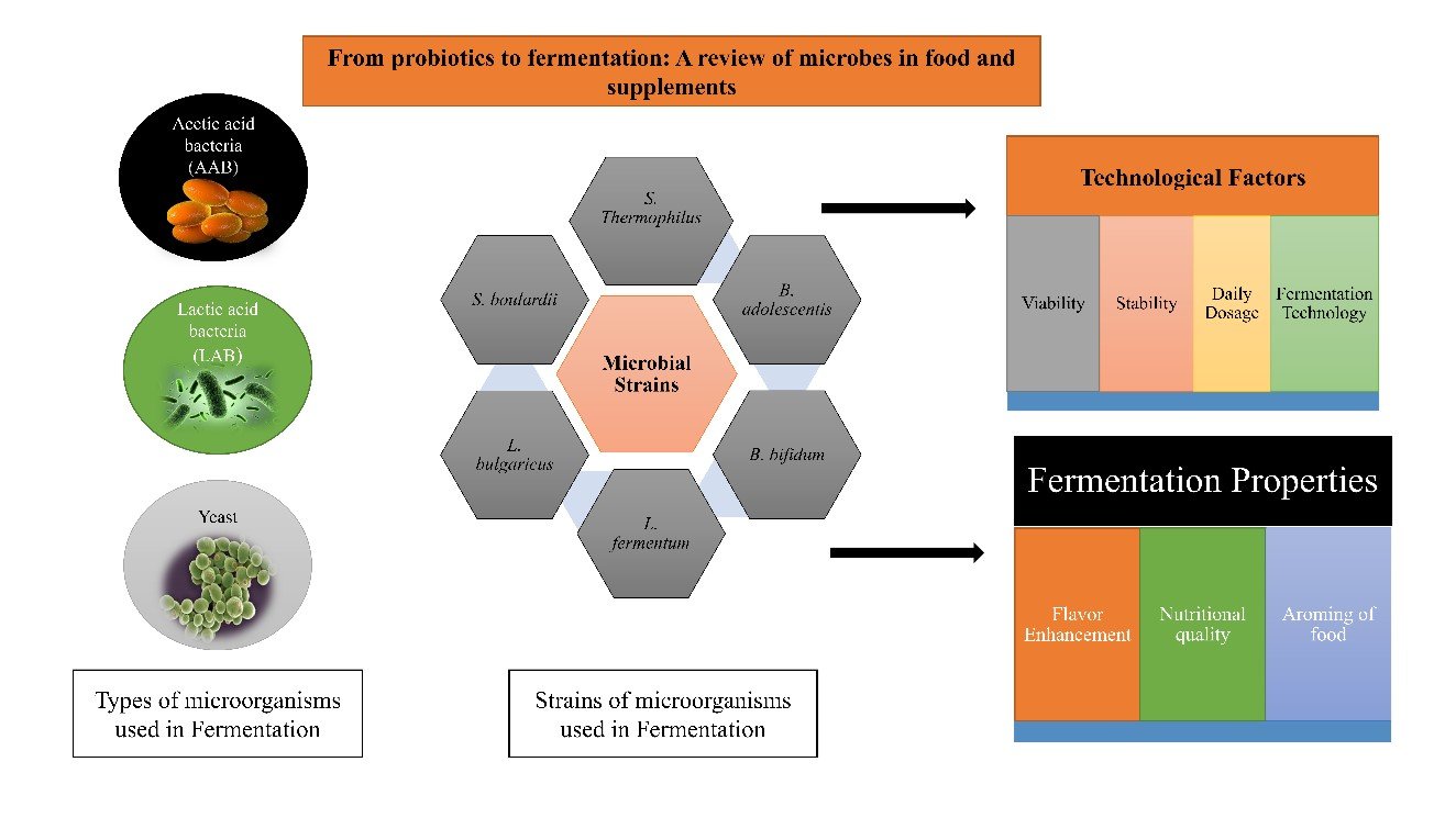 Graphical Abstract