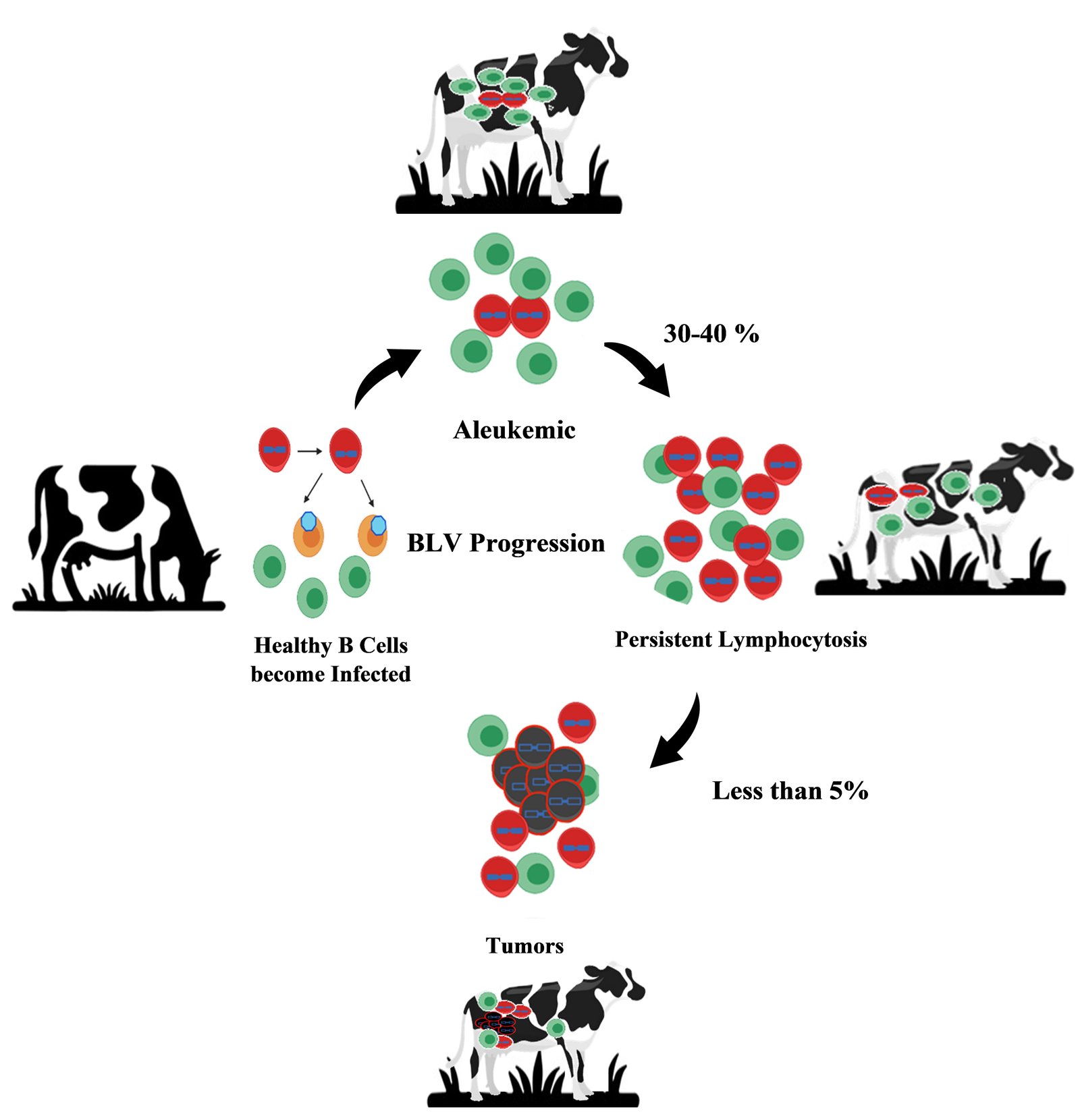 Graphical Abstract